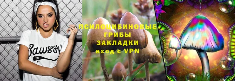 Псилоцибиновые грибы Magic Shrooms  где продают наркотики  blacksprut tor  Жердевка 